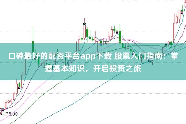 口碑最好的配资平台app下载 股票入门指南：掌握基本知识，开启投资之旅